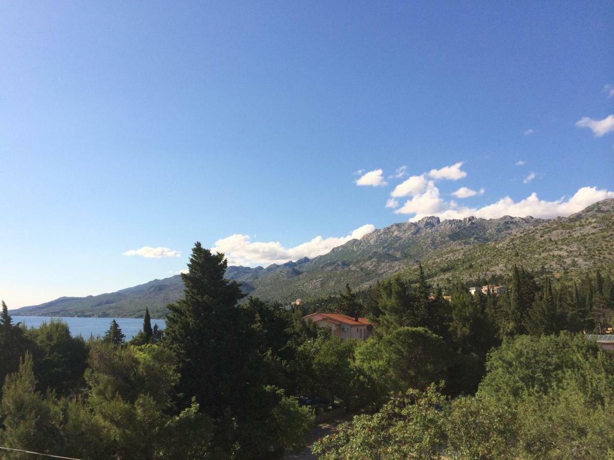 Apartments Villa Jusup Starigrad Paklenica Exterior photo